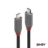 【LINDY 林帝】Type C-C USB4 傳輸線 PD智慧電流晶片 0.8M