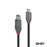 【LINDY 林帝】Type C to B USB3.2 傳輸線 1M