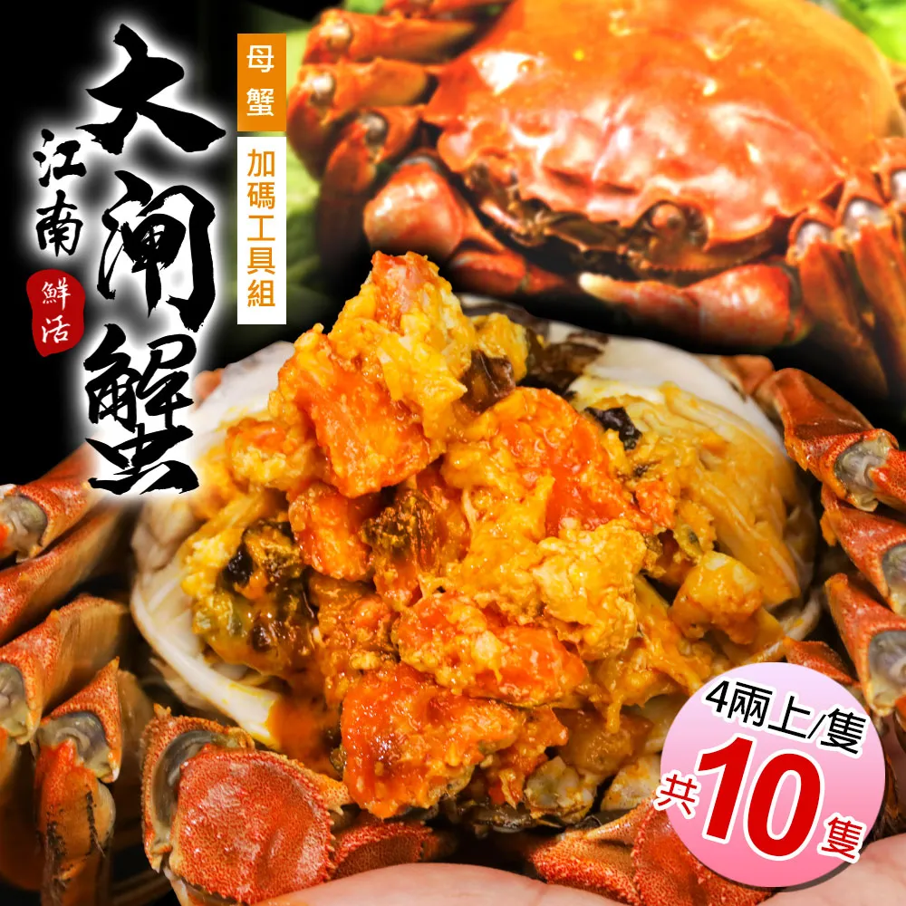預購【築地一番鮮】滿滿蟹黃鮮活江南(母)大閘蟹10隻(4兩/隻)加碼工具組 免運組