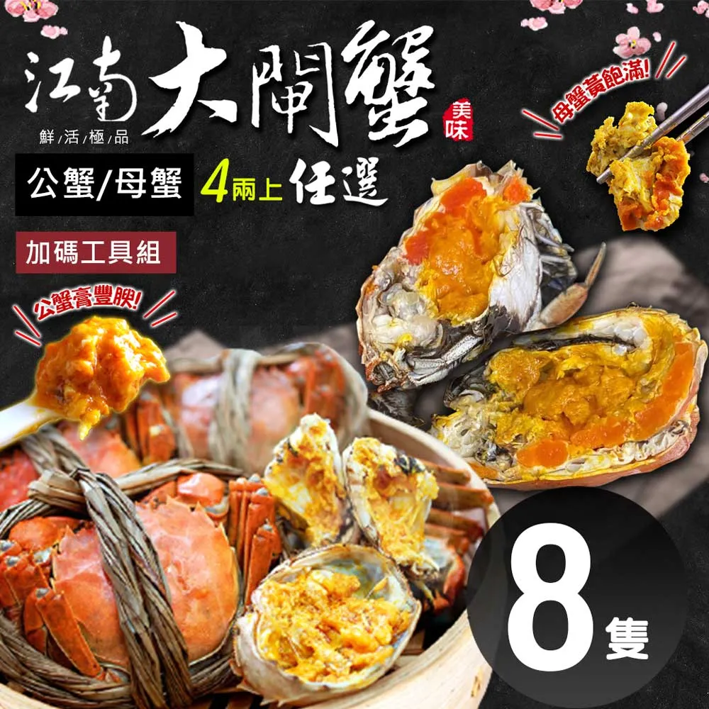 預購【築地一番鮮】肥美鮮活江南大閘蟹8隻任選組(4兩上/隻)加碼工具組 免運組 9/26-10/4出貨