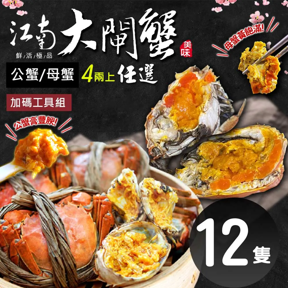 預購【築地一番鮮】肥美鮮活江南大閘蟹12隻任選組(4兩上/隻)加碼工具組 免運組 9/26-10/4出貨