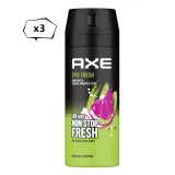 美國 AXE男用體香噴霧--地中海風情(150ml)*3