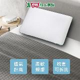 減壓平面型記憶枕 60x40x12cm 枕套可拆洗 透氣緹花布 柔軟 親膚 記憶【愛買】