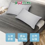RR 冰絲乳膠獨立筒枕 45x72cm 乳膠填充 冰涼紗 獨立筒支撐核心 不悶 【愛買】