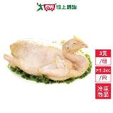 大成鹿野土雞3隻/組(1.3~1.5KG/隻)【愛買】