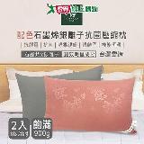 SANTA BARBARA POLO 配色石墨烯銀離子抗菌壓縮枕2入 18x28吋【愛買】