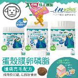 IN-Plus 犬用蛋殼膜卵磷脂 護膚亮毛配方300顆 狗保健品 蛋殼膜 幫助【愛買】