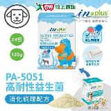IN-Plus 犬用PA5051高耐性益生菌消化調理配方5克×24包 狗保健品 維持【愛買】
