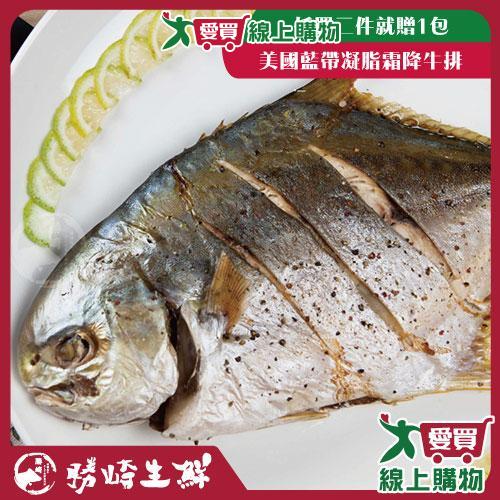 勝崎 富貴金錩魚4隻組 (750公克±10%/1隻)【愛買】