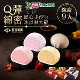 預購-百年枝仔冰城 冰淇淋大福綜合禮盒 3口味共9入【愛買】