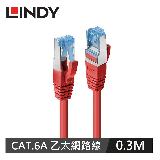 【LINDY 林帝】CAT.6A S/FTP網路線-紅/0.3M