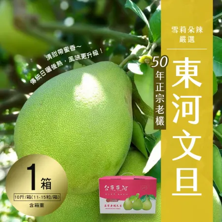 【雪莉朵辣嚴選】台東正宗老欉-東河文旦 十斤1箱(11-15粒)