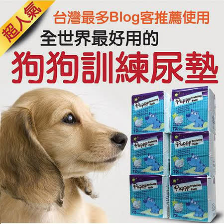 哈比狗狗訓練尿布墊2包裝(台灣最多部落客推薦使用)