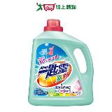 一匙靈亮彩洗衣精2.8kg【愛買】