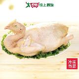 大成鹿野土雞1.6~2.0kg/隻(全雞)【愛買】