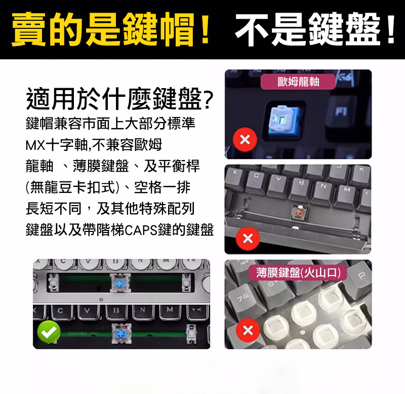 5984995464.jpg