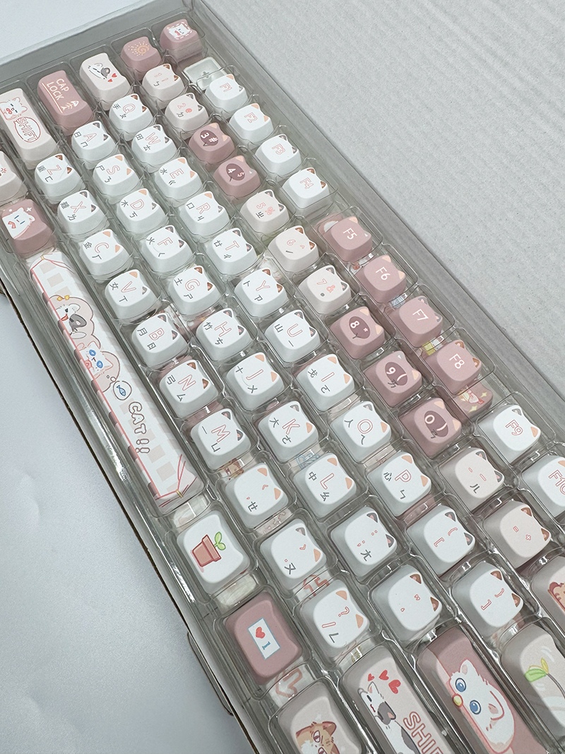 5984995889.jpg